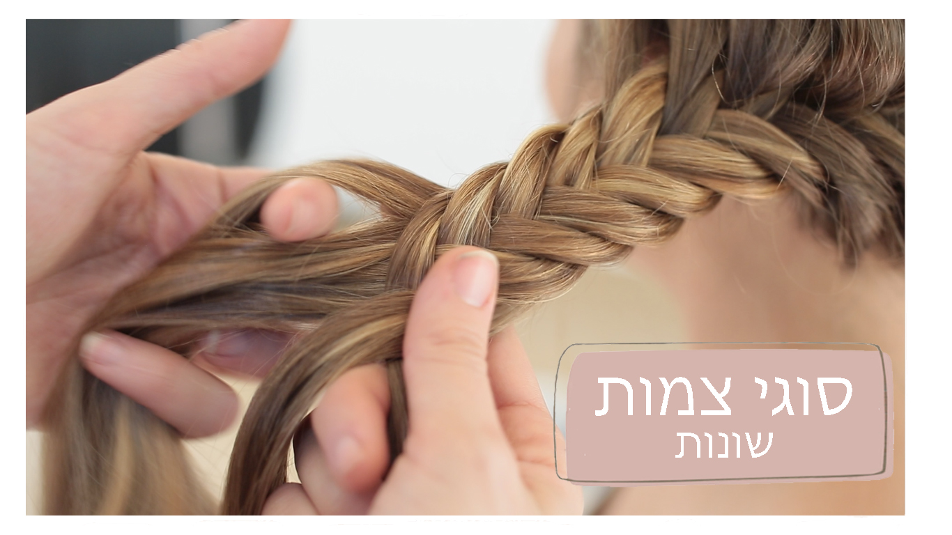 תמונה2